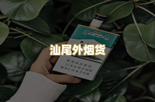 汕尾外烟货